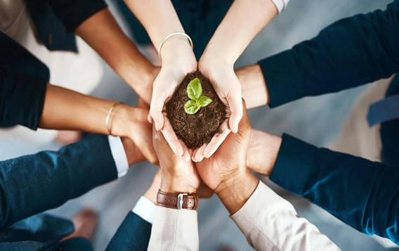 شركة Baonong لتكنولوجيا المواد الجديدة المحدودة بتشانغتشو